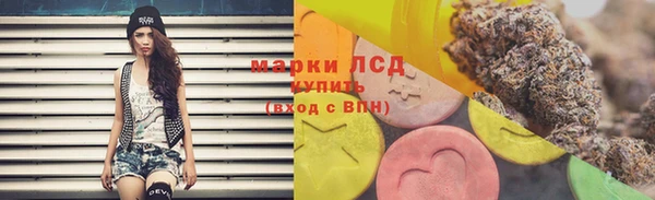 молекула духа Елизово