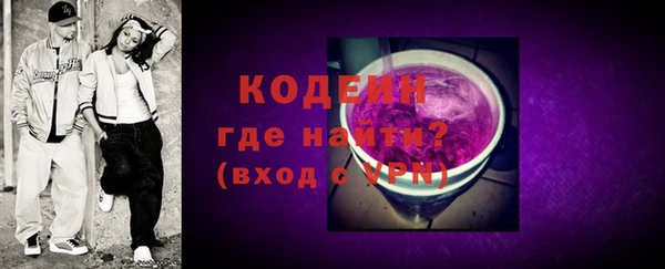 молекула духа Елизово