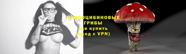 молекула духа Елизово