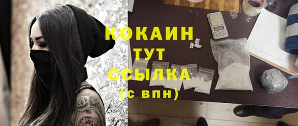 молекула духа Елизово