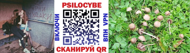 цена   Хадыженск  Галлюциногенные грибы ЛСД 